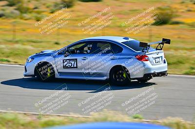 media/Apr-06-2024-Extreme Speed (Sat) [[3431b70655]]/Green-mid int/Session 1-The Bowl/